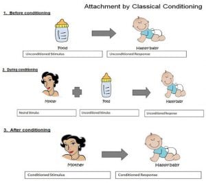 attachment conditioning