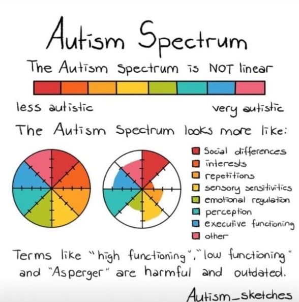 An illustration by instagram user autism_sketches which outlines that autism is not a linear line from less autistic to very autistic. It explains that autism looks more like a circle of different traits and different levels of those traits: social differences, interests, repetitions, etc.