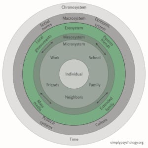 An infographic of concentric circles outlining bronfenbrenner's ecological systems theory with the exosystem highlighted in green while the rest of the model is in greyscale.