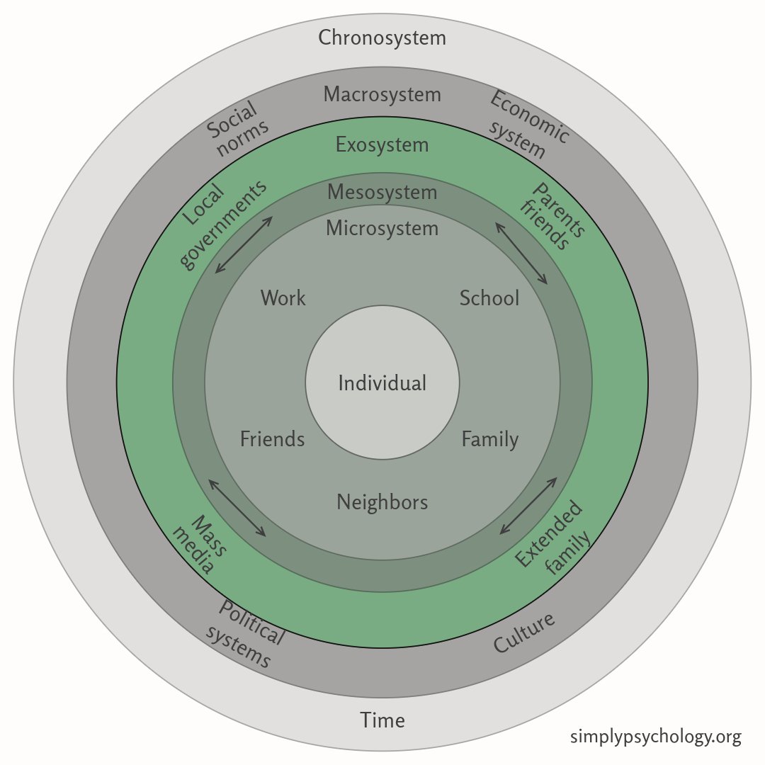 An infographic of concentric circles outlining bronfenbrenner's ecological systems theory with the exosystem highlighted in green while the rest of the model is in greyscale.