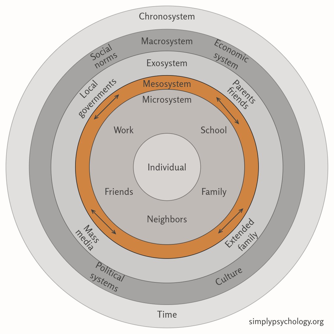 Concentric circles illustrating Bronfenbrenner's ecological systems theory but with only the mesosystem section highlighted in orange while the rest is in greyscale.