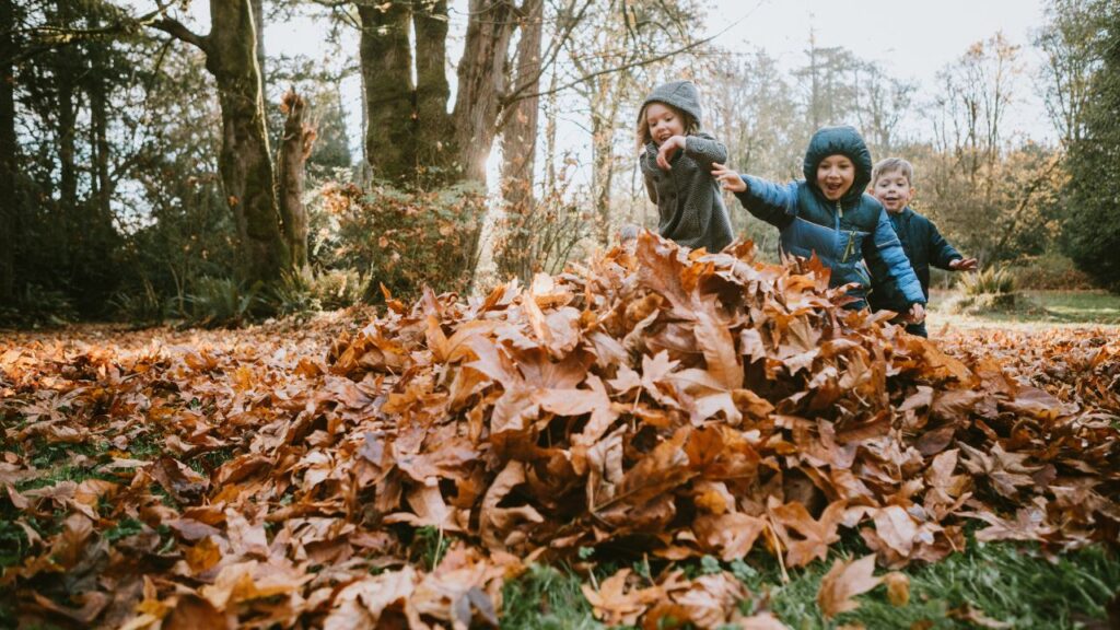 child outdoor play