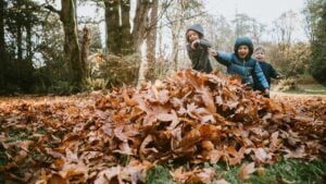 3 children playing in a pile of leaves outdoors.