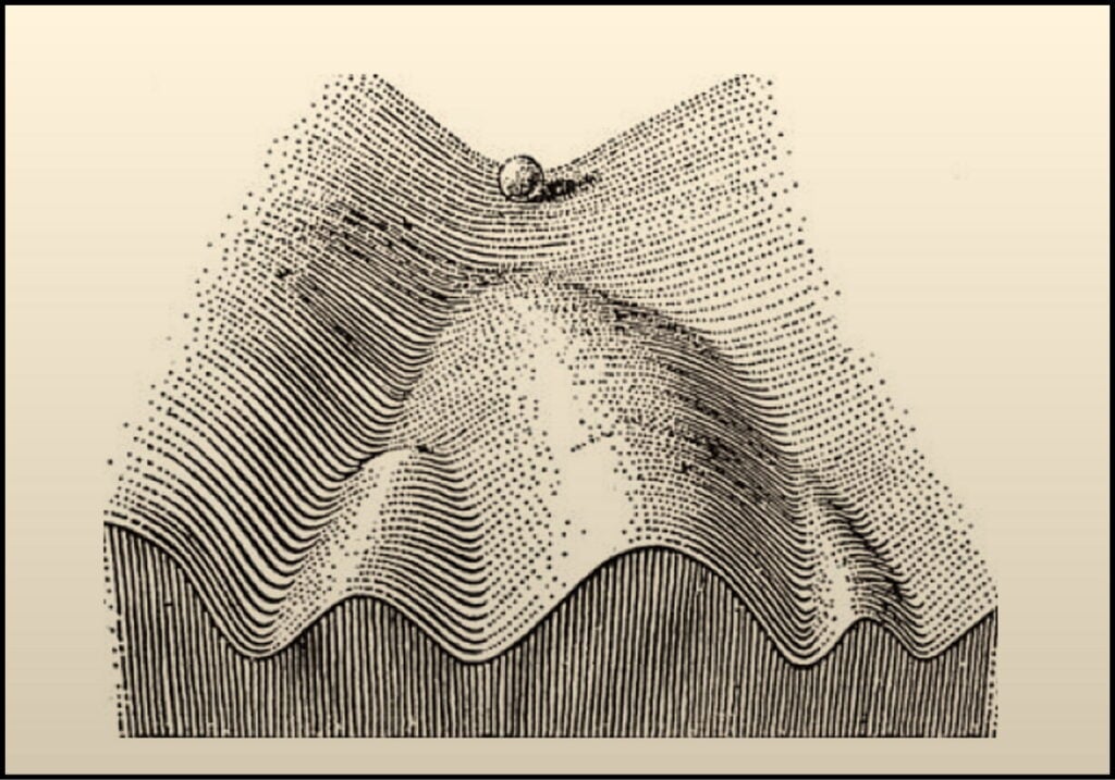 Epigenetic Landscape