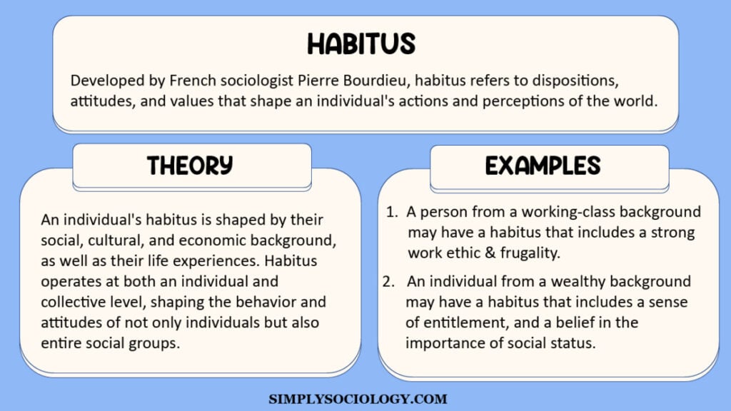 Habitus3