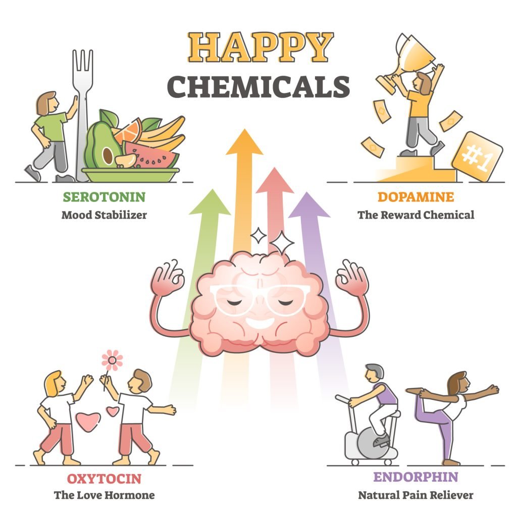 Happy chemicals as good and positive mood hormonal causes outline diagram