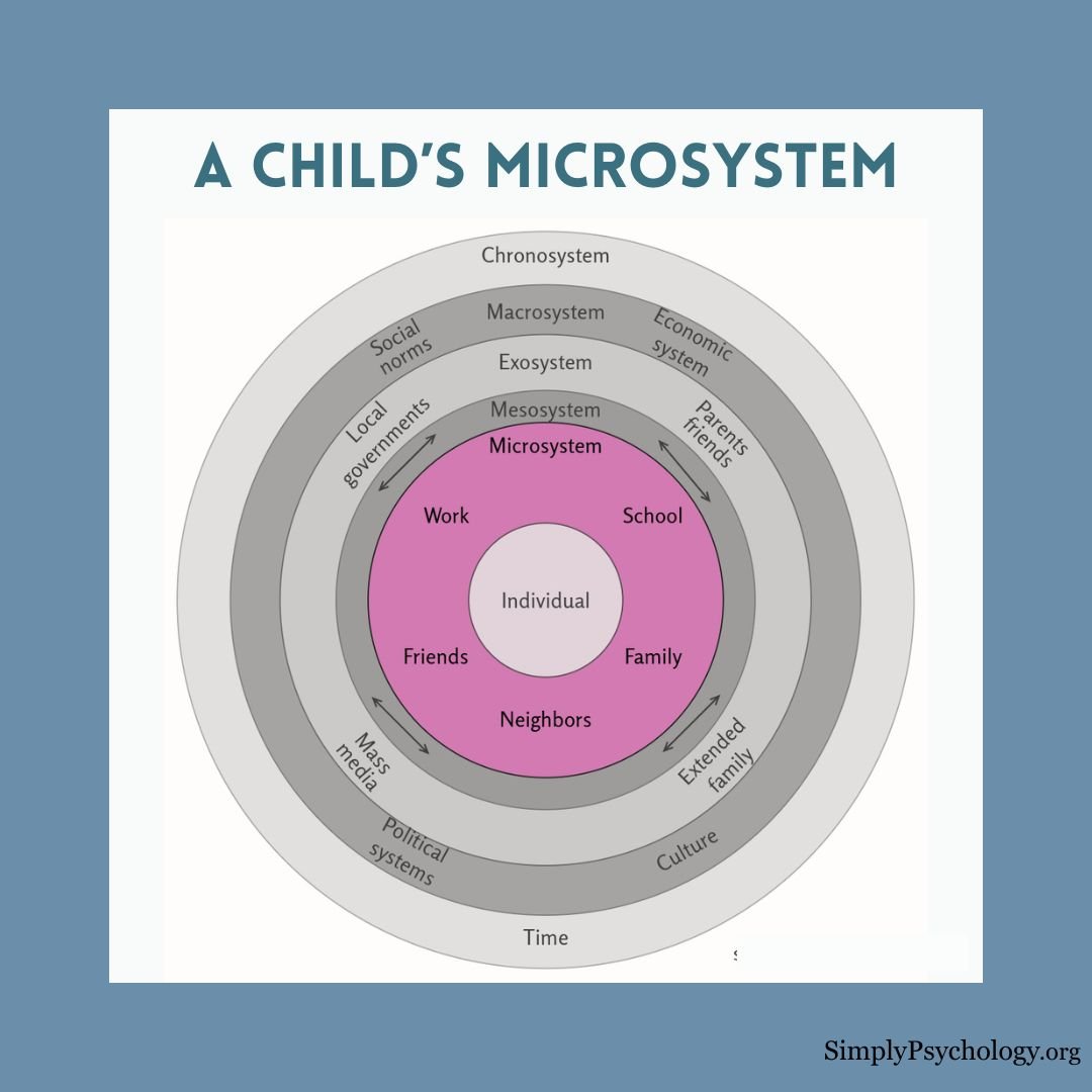 A diagram of Bronfenbrenner's ecological systems theory but with the inner circle outlining the microsystem highlighted in pink.