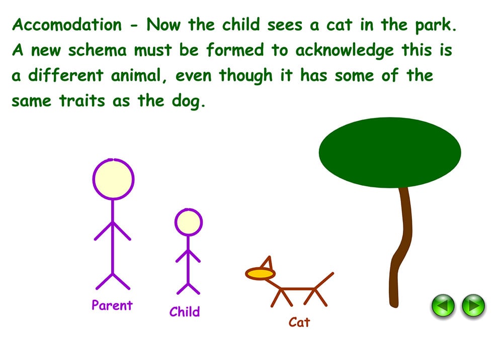 Example of accommodation in Psychology