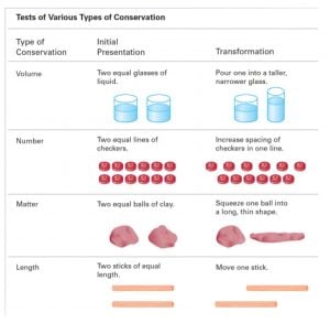 Piaget Conservation 1