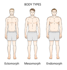 Human body types. Three figures. Forms: ectomorph, mesomorph and endomorph.