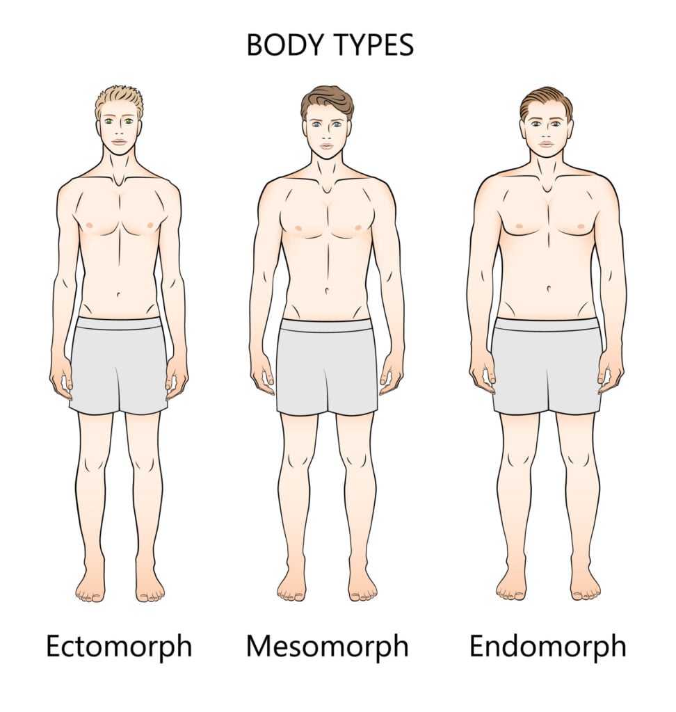 Human body types. Three figures. Forms: ectomorph, mesomorph and endomorph.