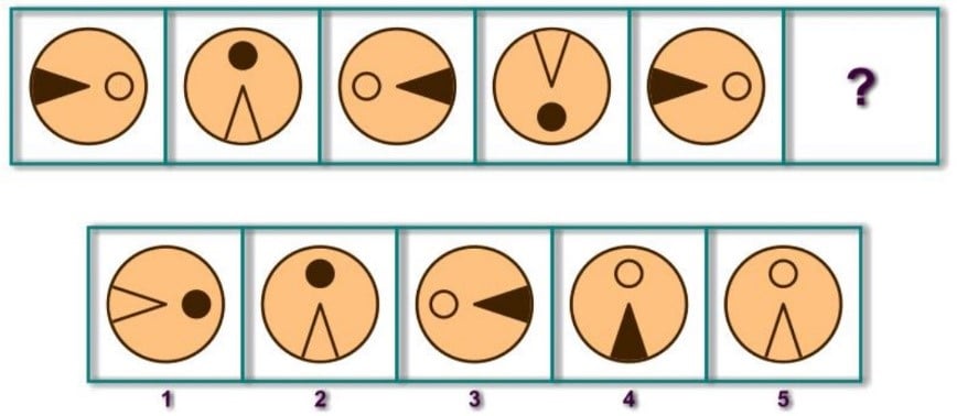 

 WISC Sample Test Question