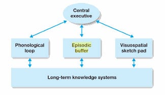 working memory