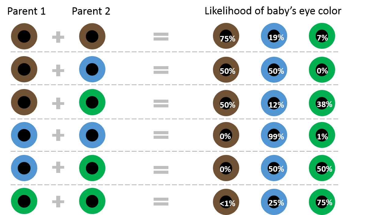 eye color genetics