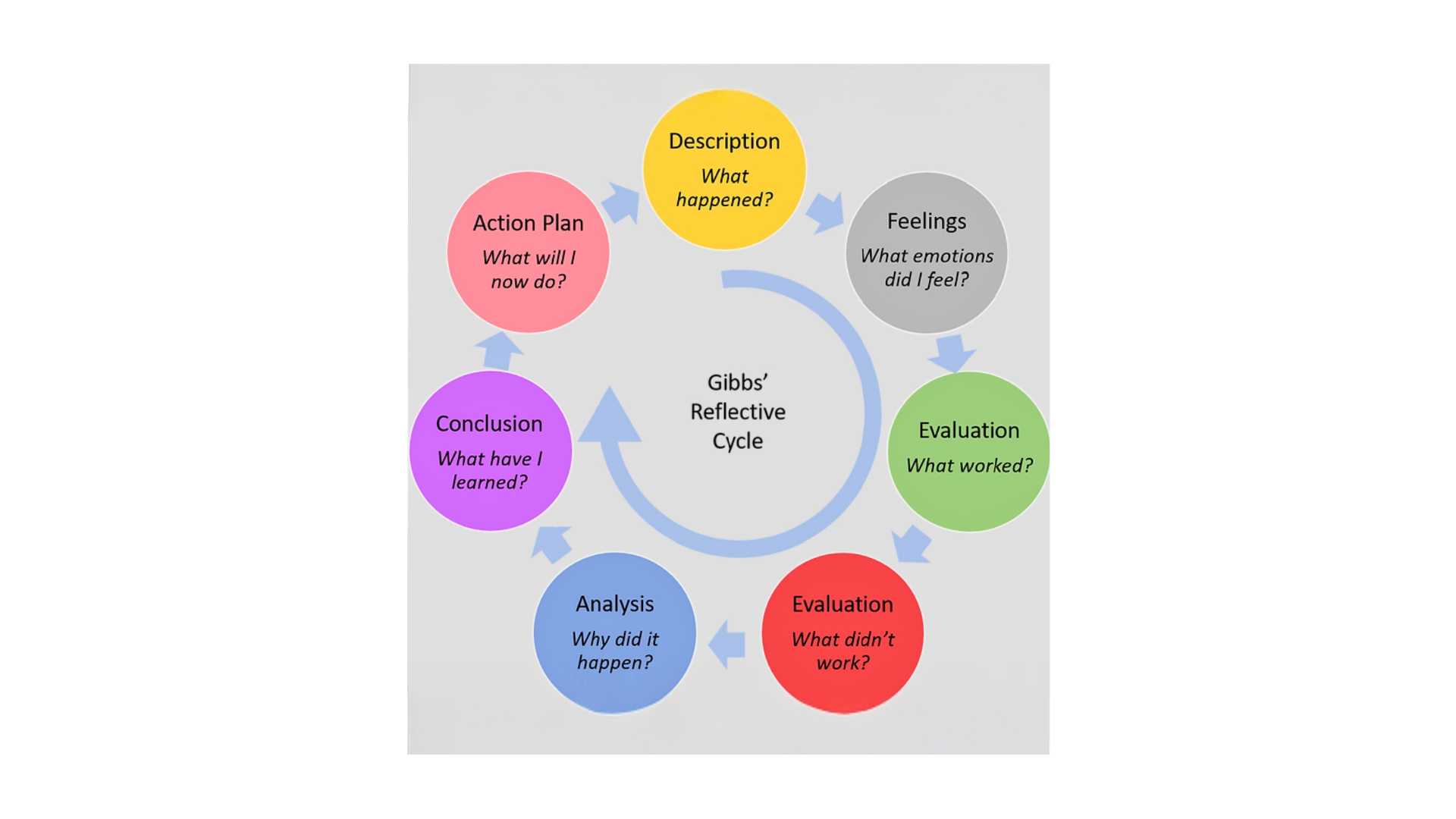 gibbs reflective cycle