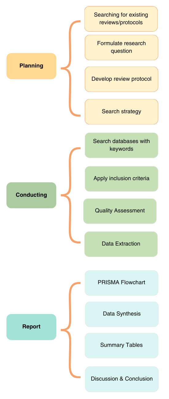 systematic review